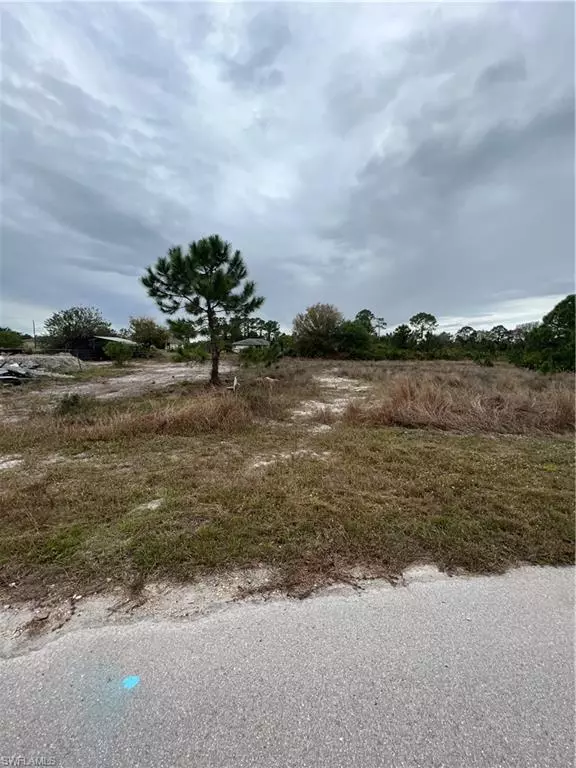 Lehigh Acres, FL 33974,768 Bianca