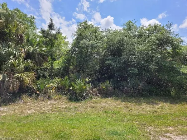 Labelle, FL 33935,8009 Cod CT