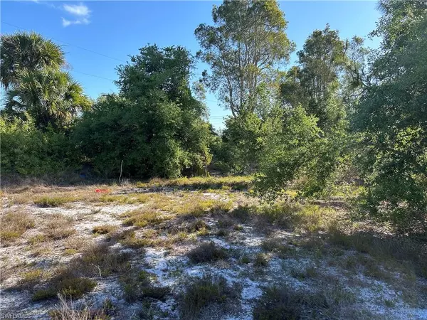 Lehigh Acres, FL 33976,2505 53rd ST SW