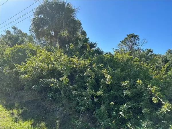 Lehigh Acres, FL 33976,2505 53rd ST SW