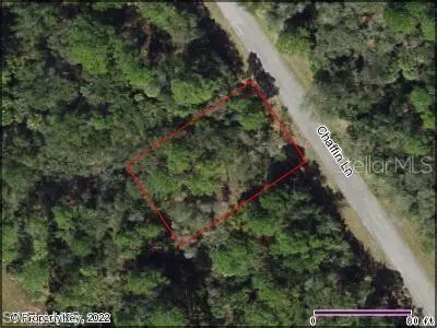 Port Charlotte, FL 33953,1379 Chaffin LN