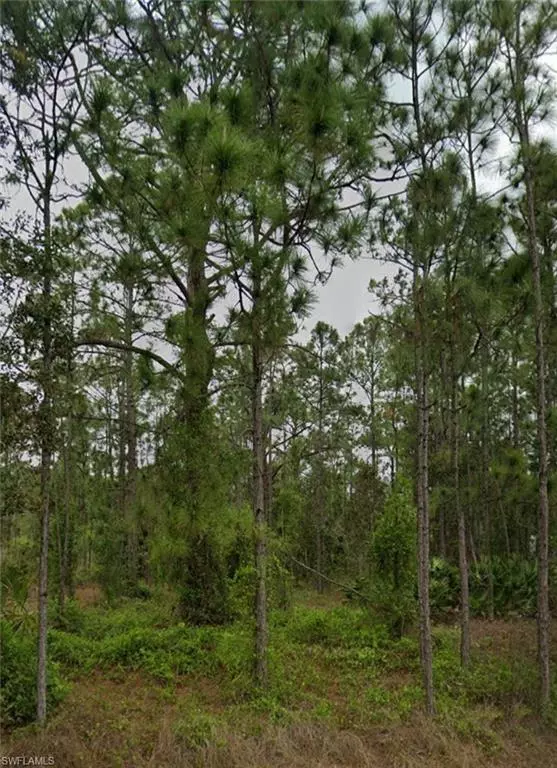 Lehigh Acres, FL 33972,1011 Magnolia AVE