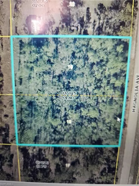 1011 Magnolia AVE, Lehigh Acres, FL 33972
