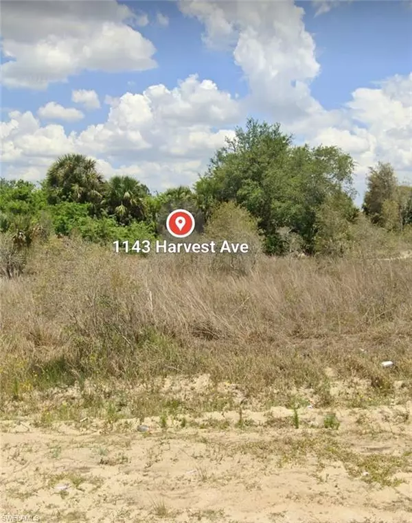 Lehigh Acres, FL 33974,1143 Harvest AVE