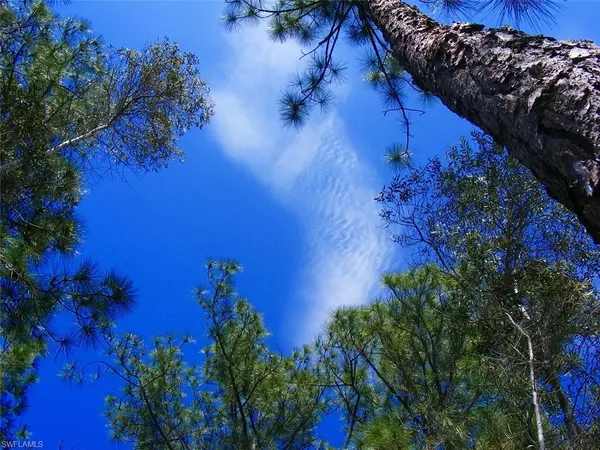 Lehigh Acres, FL 33974,832 S Gaylord AVE