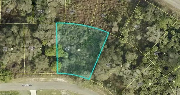 Lehigh Acres, FL 33972,654 Jessie LN S