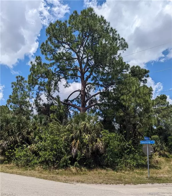 Lehigh Acres, FL 33974,749 Spaulding ST E