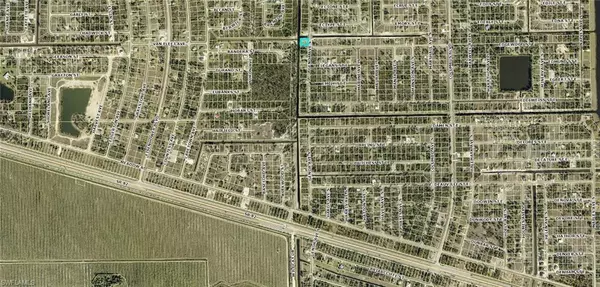 Lehigh Acres, FL 33974,1036 Genoa AVE S