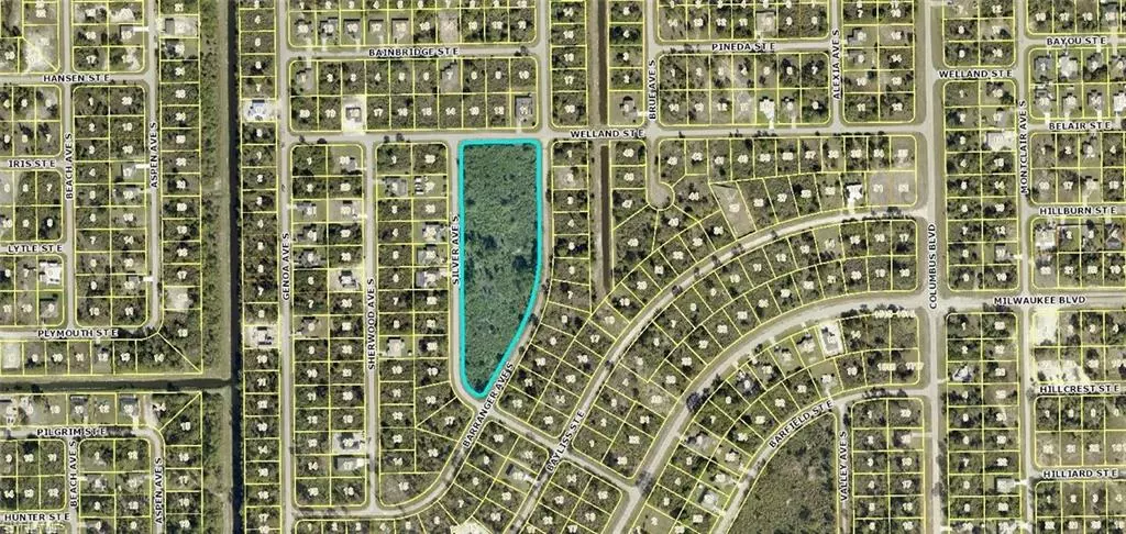 Lehigh Acres, FL 33974,1120 Welland ST E