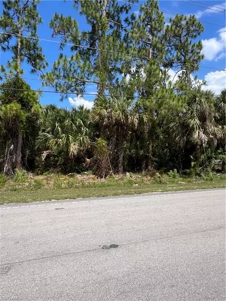 Everglades BLVD, Naples, FL 34117