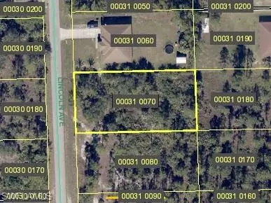 Lehigh Acres, FL 33972,1102 North AVE