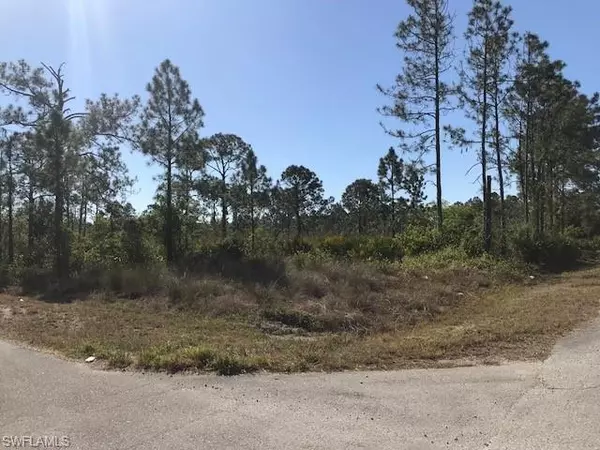 Lehigh Acres, FL 33972,1226 Lincoln AVE