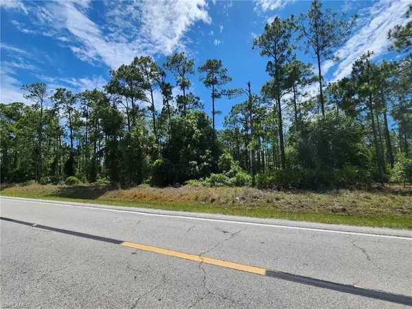Lehigh Acres, FL 33972,1217 Richmond AVE N