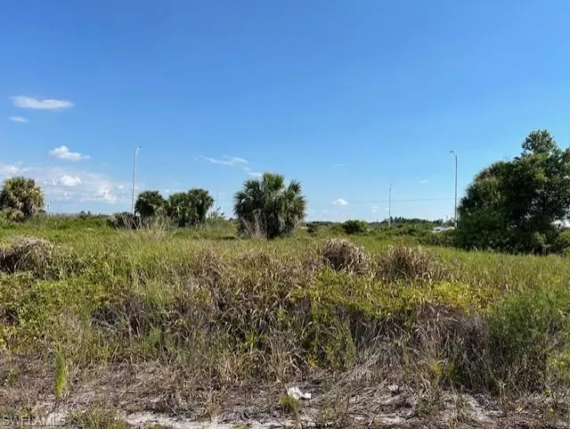 Lehigh Acres, FL 33974,3316/3318 Meadow RD