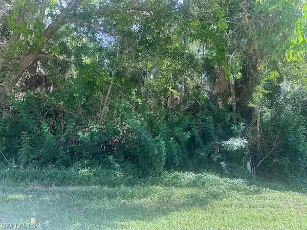 Lot 20 N TBD Pine Tree DR, Naples, FL 34112