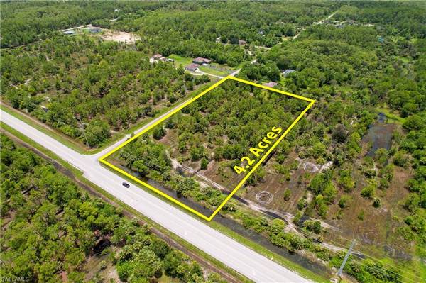 Immokalee RD, Naples, FL 34120