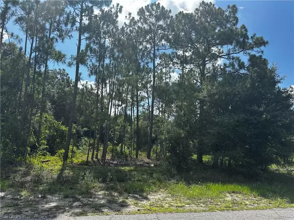 Lehigh Acres, FL 33972,1010 Louis AVE