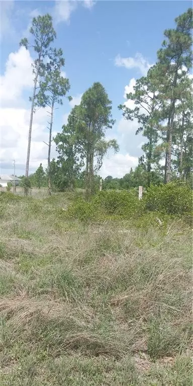 Lehigh Acres, FL 33971,6006 Ida AVE N