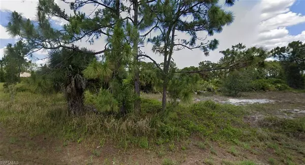 Lehigh Acres, FL 33974,1125 Crocus ST
