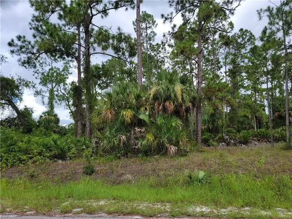 Lehigh Acres, FL 33936,720 Sheldon AVE