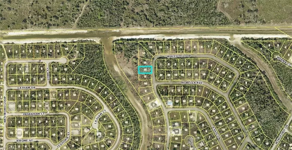 Lehigh Acres, FL 33972,1957 Walcott LOOP