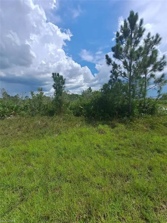 Lehigh Acres, FL 33971,2919 30th ST W