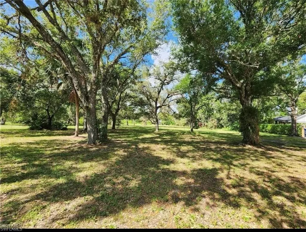 Labelle, FL 33935,648 turtle LN