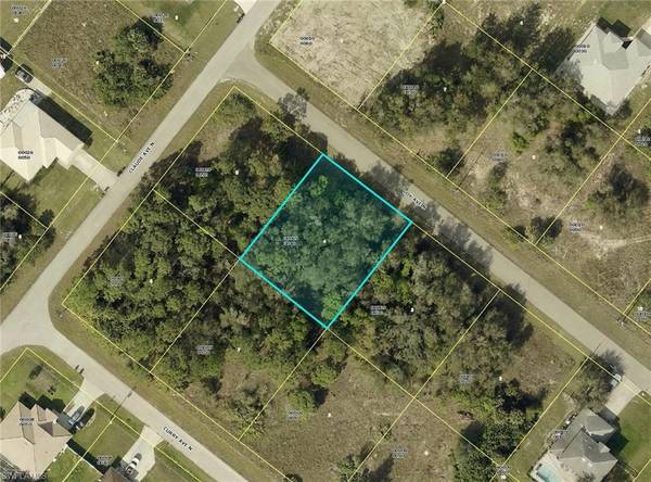 2007 Coy AVE N, Lehigh Acres, FL 33971