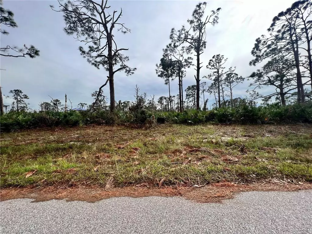 Placida, FL 33946,3 Mast DR