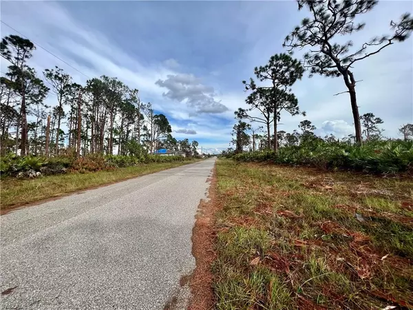 Placida, FL 33946,3 Mast DR