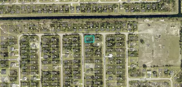 Lehigh Acres, FL 33974,705 Randall AVE E