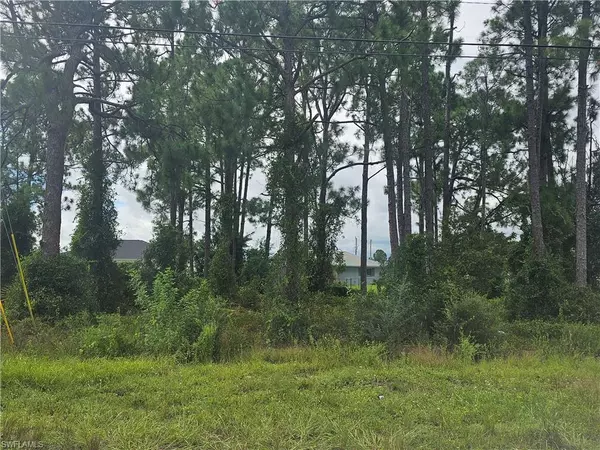 Lehigh Acres, FL 33976,2919 17th ST SW