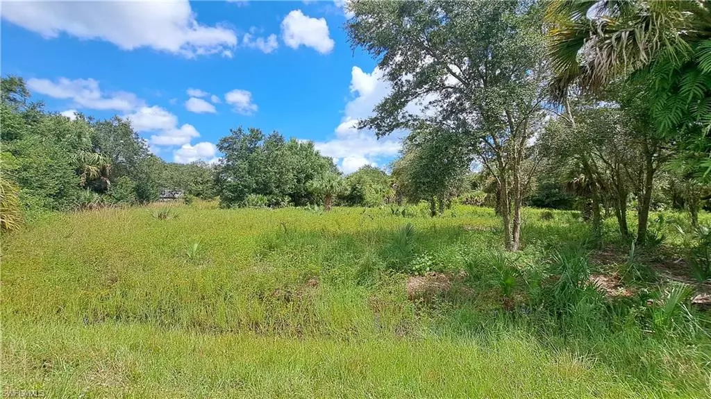 Moore Haven, FL 33471,1238 Anvil WAY