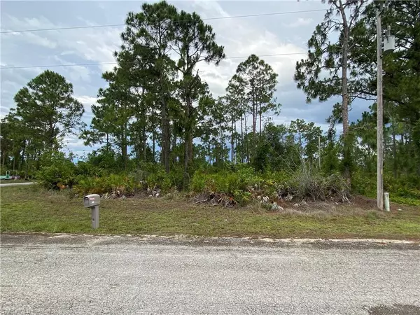 Lehigh Acres, FL 33974,717 Puccini AVE S