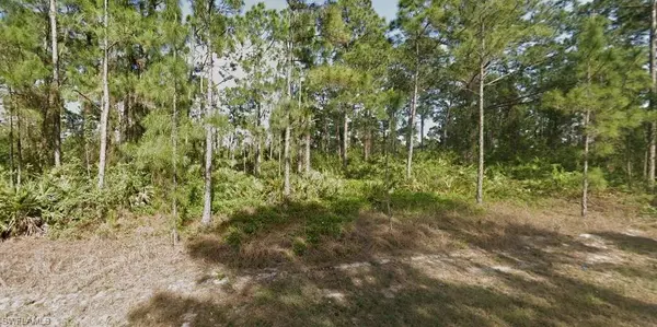 Lehigh Acres, FL 33974,449 Wickham AVE S