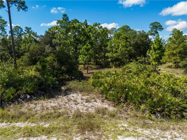 Lehigh Acres, FL 33972,1615 Calvin AVE