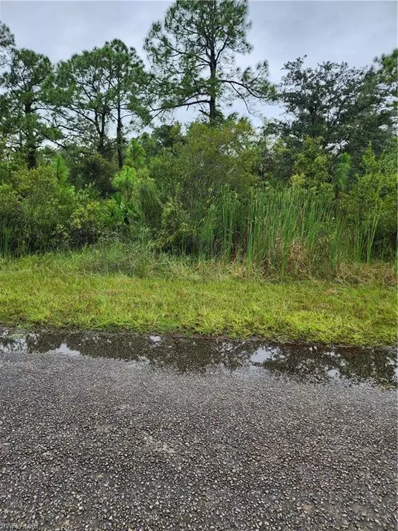 Lehigh Acres, FL 33972,1951 Roderick LN