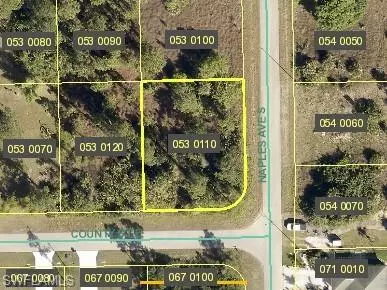 Lehigh Acres, FL 33974,County ST E