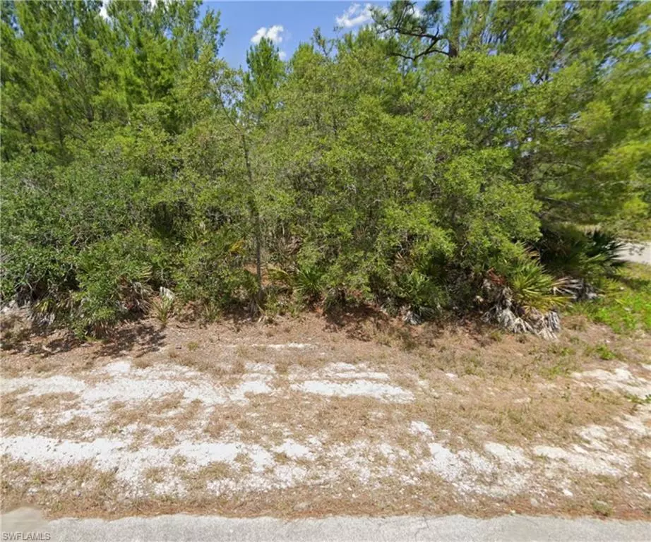 Lake Placid, FL 33852,3325 Braniff RD