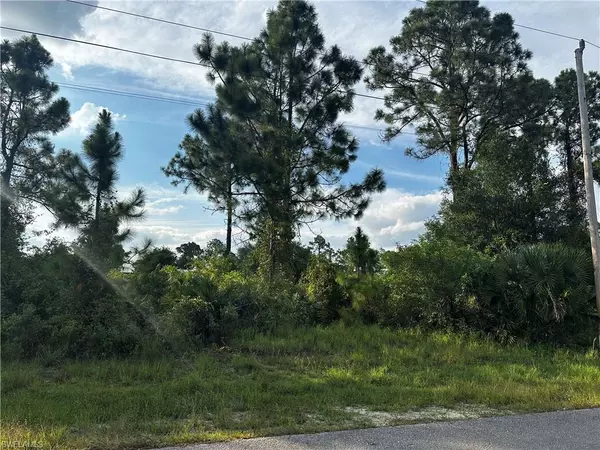 Lehigh Acres, FL 33974,208 Hagan AVE S