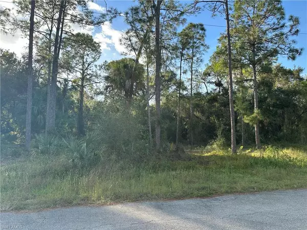 1711 Greenwood AVE, Lehigh Acres, FL 33972