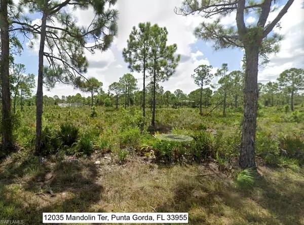 Punta Gorda, FL 33955,12035 Mandolin TER