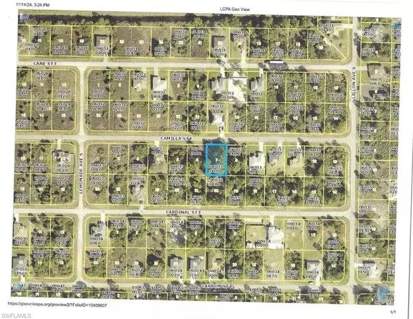 Lehigh Acres, FL 34974,750 CAMILLA ST