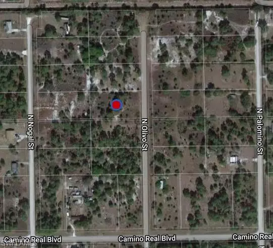 Clewiston, FL 33440,340 N Olivo ST