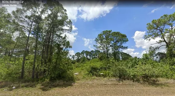 Labelle, FL 33935,8016 Rolling CIR