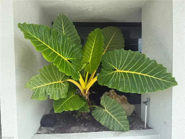 Bonita Springs, FL 34134,26225 Hickory BLVD #5D