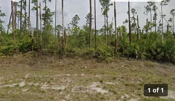 Lehigh Acres, FL 33974,1253 Edna ST E