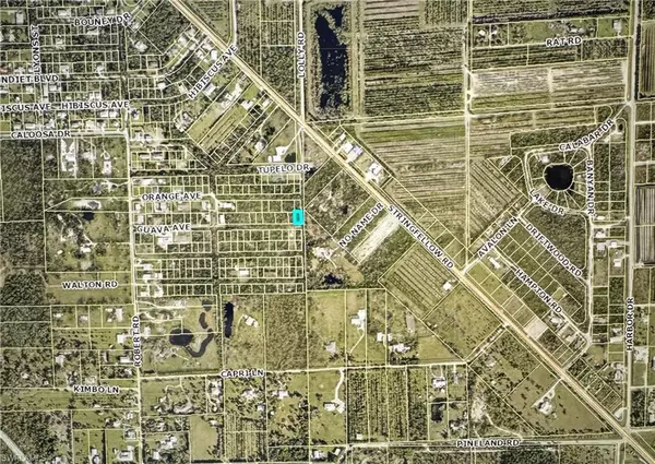 Bokeelia, FL 33922,7000 Guava AVE