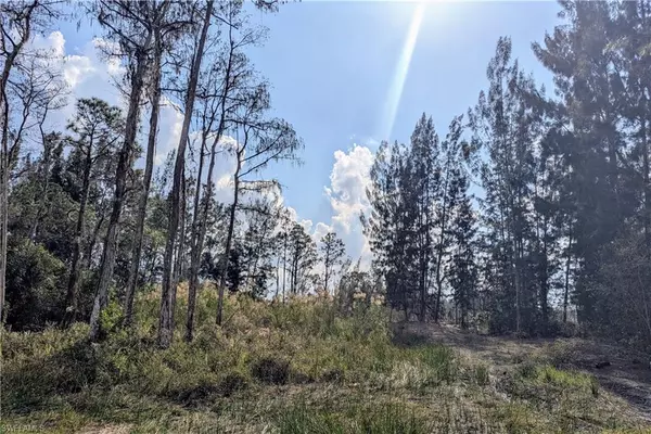 Lehigh Acres, FL 33972,207 Ocean Park DR