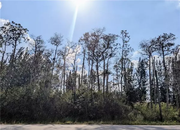 Lehigh Acres, FL 33972,207 Ocean Park DR